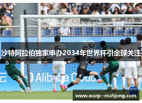 沙特阿拉伯独家申办2034年世界杯引全球关注 沙特阿拉伯独家申办2034年世界杯引全球关注